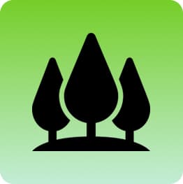 Lore AI Agent
