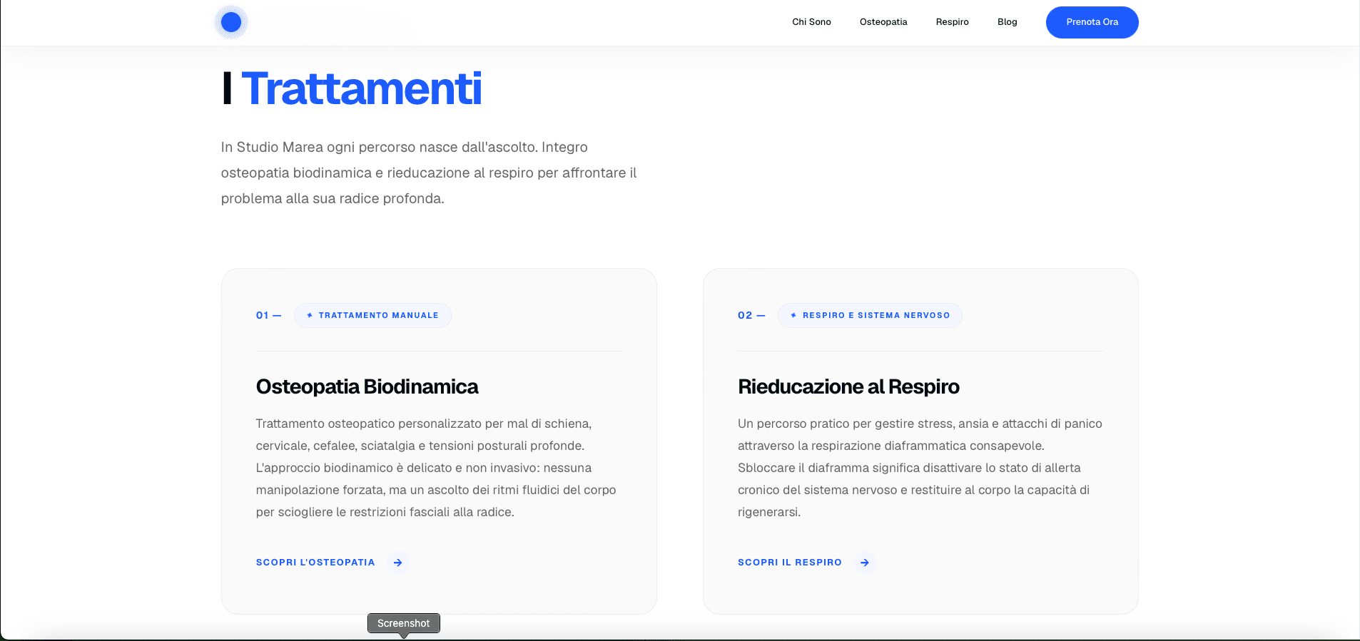 Headless WordPress & Next.js screenshot 3