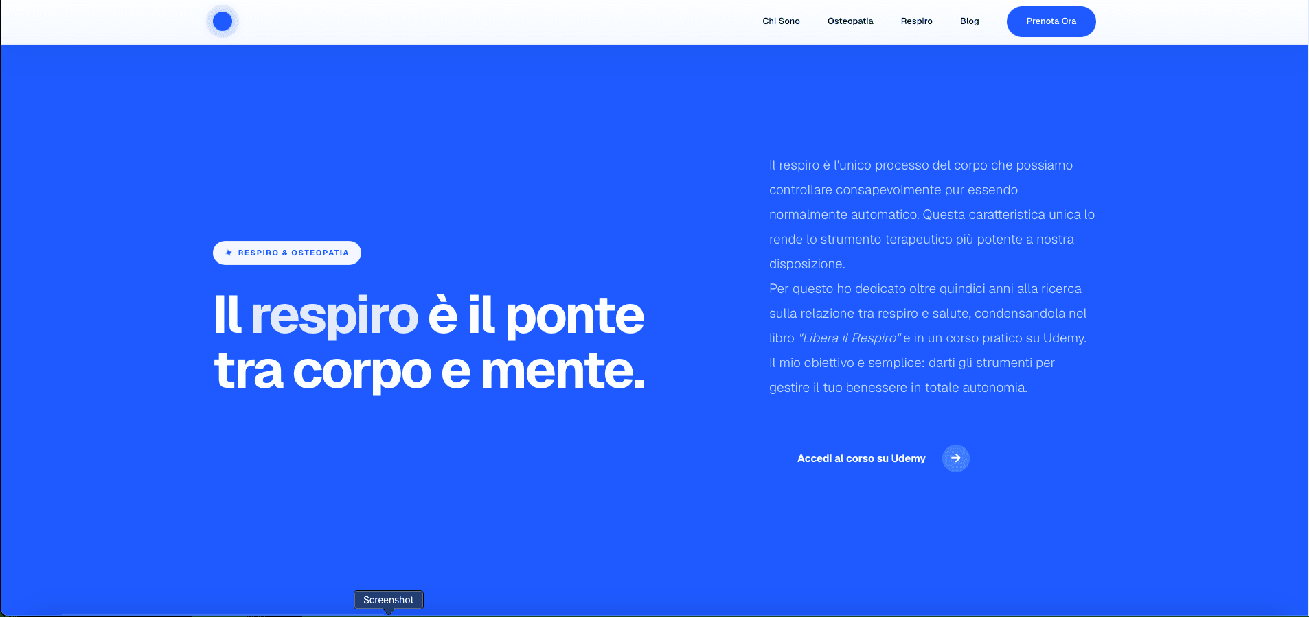 Headless WordPress & Next.js screenshot 4
