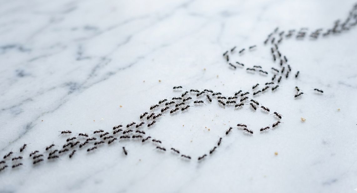 Migliorare conversione sito web con intelligenza artificiale: la strategia 2026